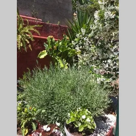 Διαμέρισμα Hill Corfu Town