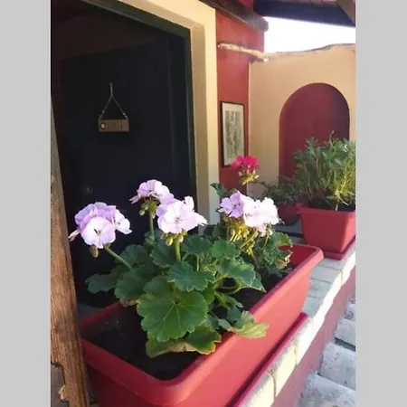 Hill Corfu Town 公寓 Corfu (city)